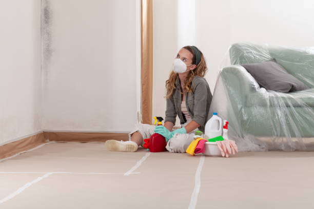 Reliable Mold Testing contractor in Issue, MD by WQB Mold Removal